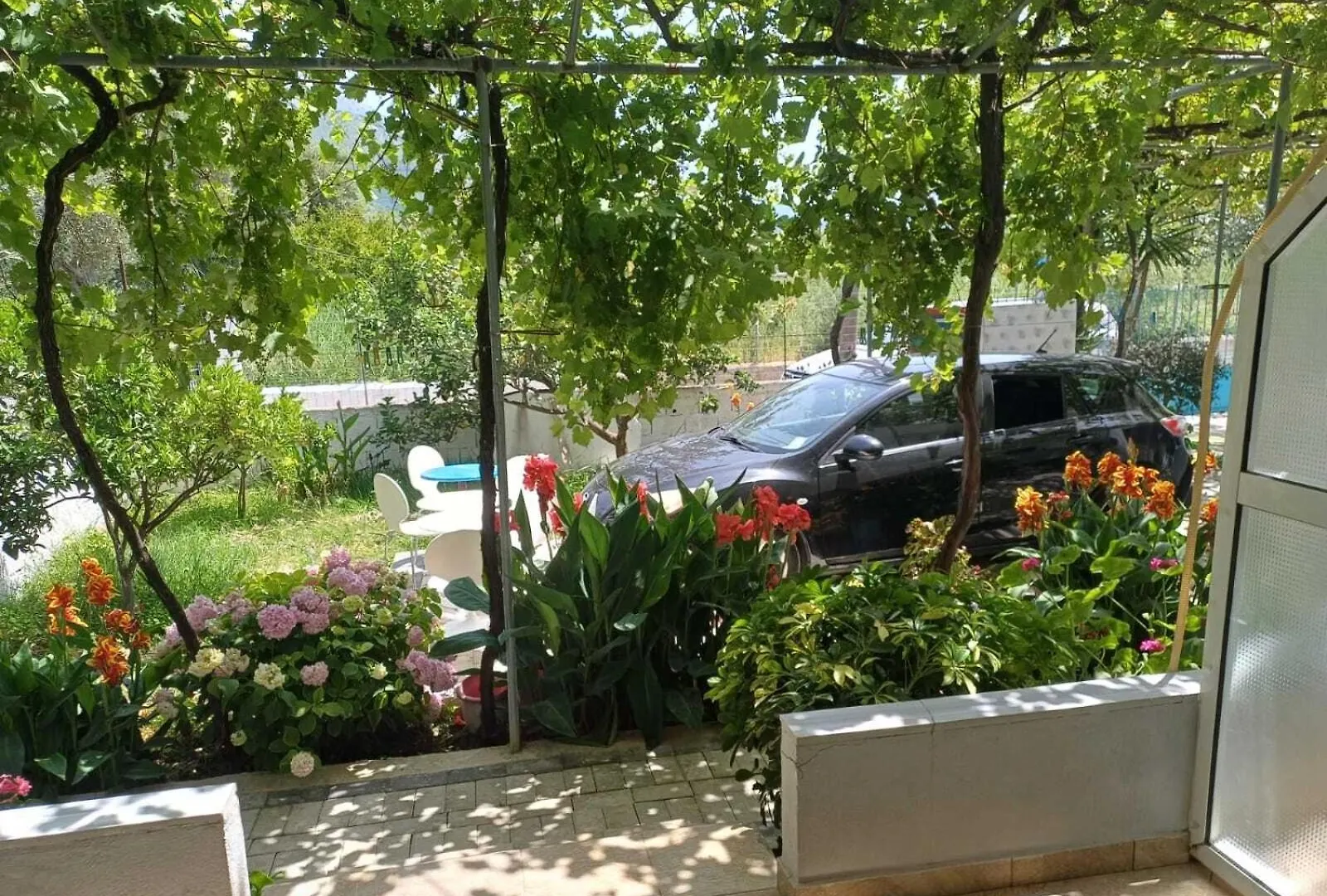 Vila Donald Borş Villa