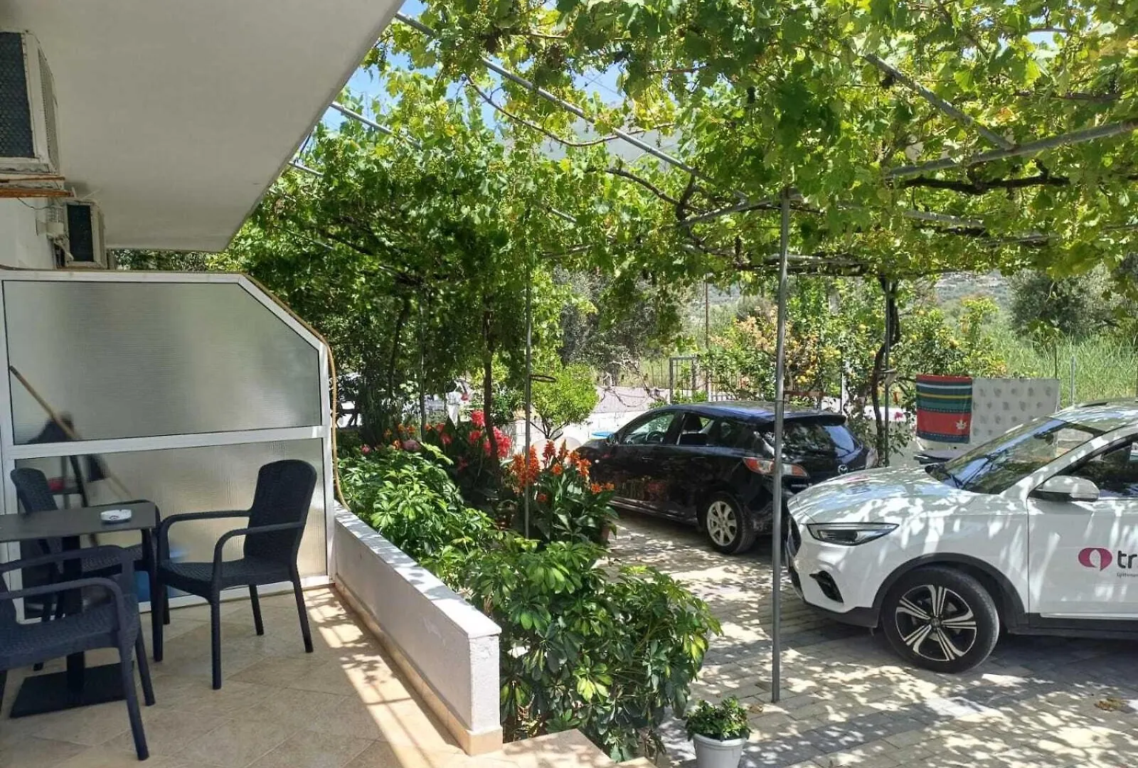Villa Vila Donald Borş